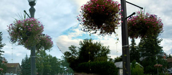 image12