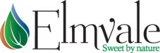 light logo